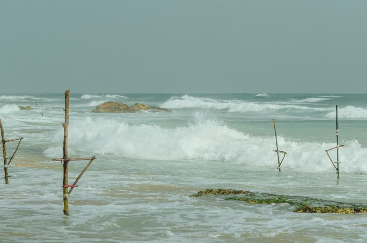 Превью Sri Lanka 2022